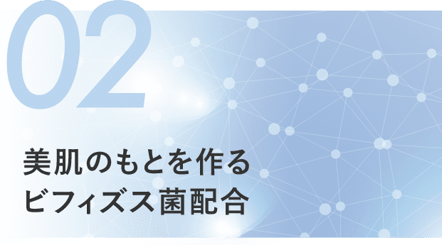 美肌のもとを作る ビフィズス菌配合